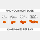Pre Workout Gummies